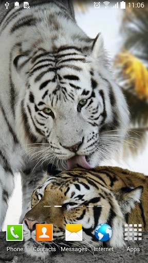 Screenshots of the live wallpaper Tiger by Amax LWPS for Android phone or tablet.