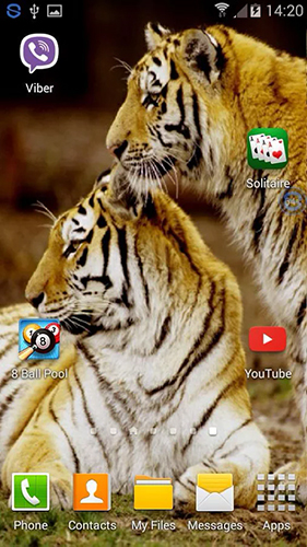 Screenshots of the live wallpaper Tigers: shake and change for Android phone or tablet.