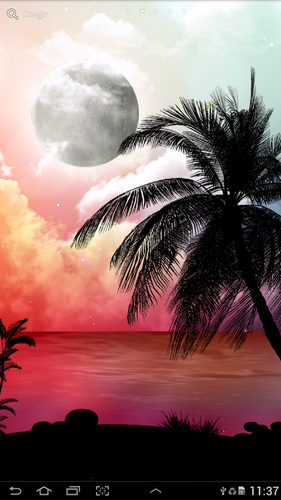 Screenshots of the live wallpaper Tropical night for Android phone or tablet.