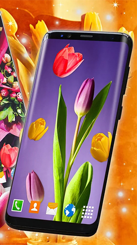 Full version of Android apk livewallpaper Tulips by 3D HD Moving Live Wallpapers Magic Touch Clocks for tablet and phone.
