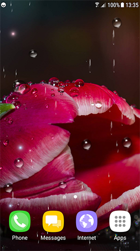 Full version of Android apk livewallpaper Tulips by Live Wallpapers 3D for tablet and phone.