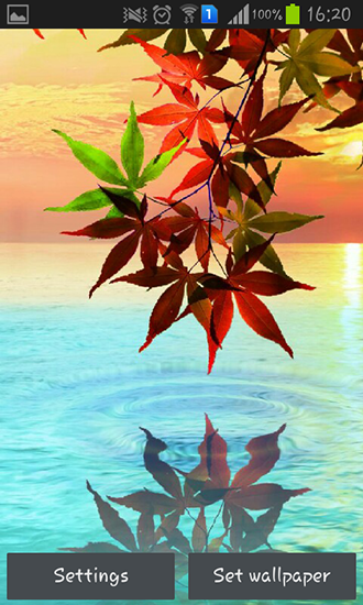 Screenshots of the live wallpaper Water drop: Flowers and leaves for Android phone or tablet.