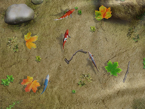 Screenshots of the live wallpaper Water koi fish pond for Android phone or tablet.