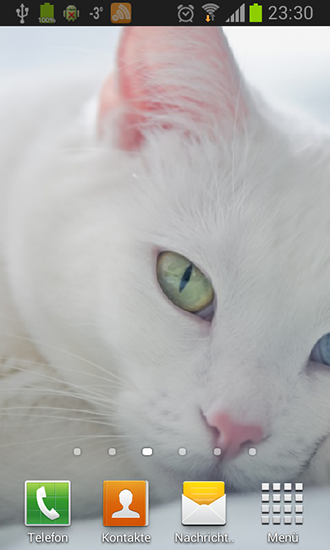 Screenshots of the live wallpaper White cats for Android phone or tablet.