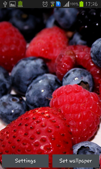 Screenshots of the live wallpaper Wild berries for Android phone or tablet.