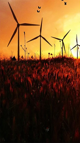 Full version of Android apk livewallpaper Windmill by Live Wallpapers HD for tablet and phone.