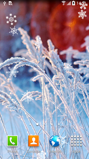 Screenshots of the live wallpaper Winter flowers for Android phone or tablet.