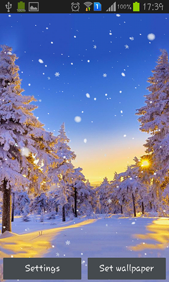 Screenshots of the live wallpaper Winter forest for Android phone or tablet.