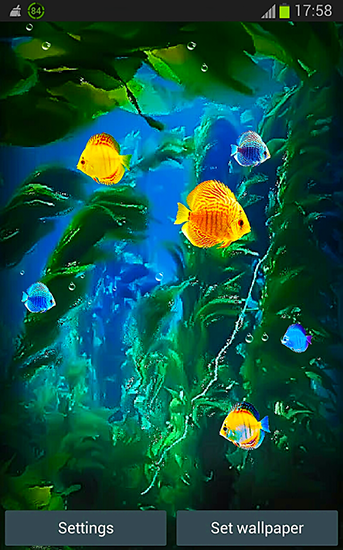 Full version of Android apk livewallpaper Aquarium 3D by Pups apps for tablet and phone.