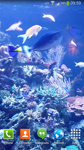 Full version of Android apk livewallpaper Aquarium HD 2 for tablet and phone.