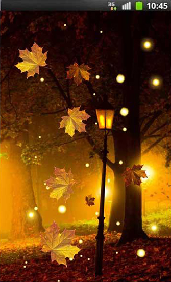 Full version of Android apk livewallpaper Autumn fireflies for tablet and phone.