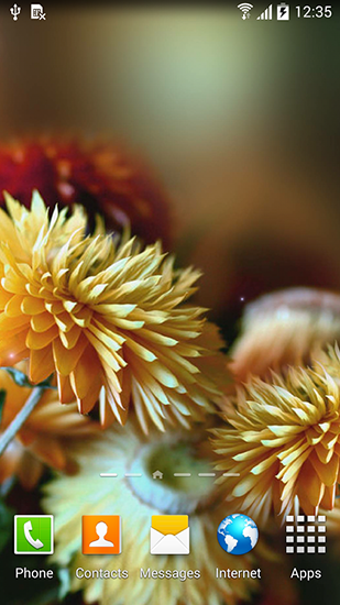 Full version of Android apk livewallpaper Autumn flowers for tablet and phone.