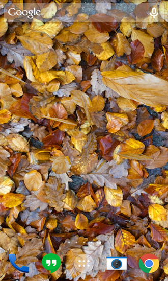 Full version of Android apk livewallpaper Autumn Leaves for tablet and phone.