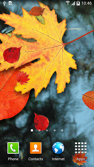 Full version of Android apk livewallpaper Autumn leaves for tablet and phone.