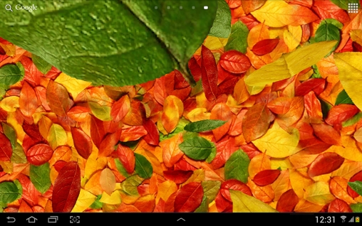 Full version of Android apk livewallpaper Autumn leaves 3D for tablet and phone.