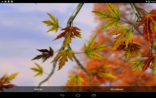 Full version of Android apk livewallpaper Autumn leaves 3D by Alexander Kettler for tablet and phone.