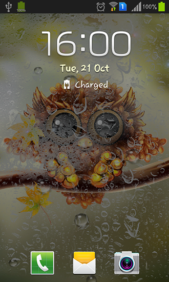 Full version of Android apk livewallpaper Autumn little owl for tablet and phone.