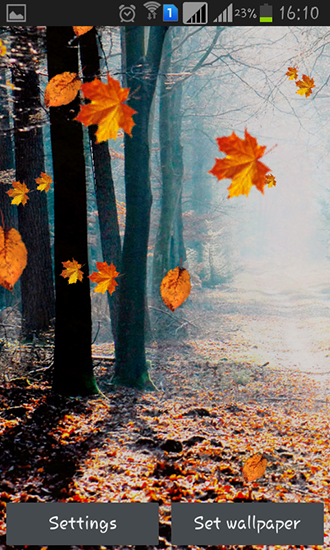 Full version of Android apk livewallpaper Autumn rain for tablet and phone.