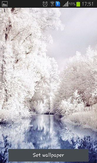 Full version of Android apk livewallpaper Beautiful winter for tablet and phone.