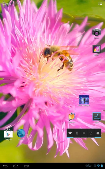 Full version of Android apk livewallpaper Bee on a clover flower 3D for tablet and phone.
