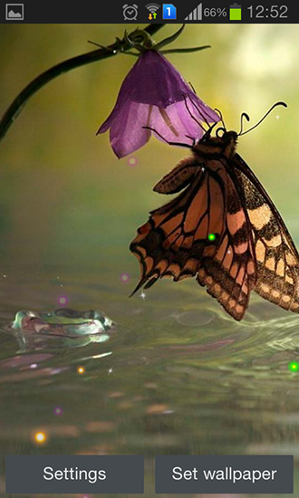 Full version of Android apk livewallpaper Best butterfly for tablet and phone.