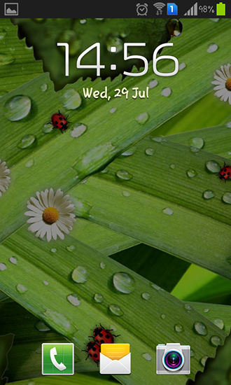 Full version of Android apk livewallpaper Camomiles and ladybugs for tablet and phone.