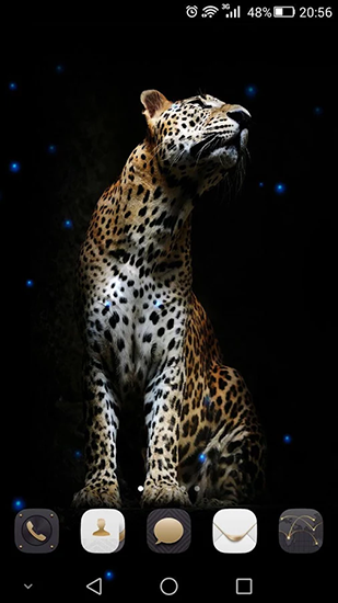 Full version of Android apk livewallpaper Cheetah for tablet and phone.