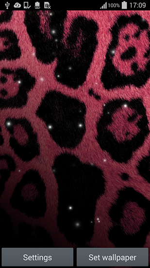 Full version of Android apk livewallpaper Cheetah by Live mongoose for tablet and phone.