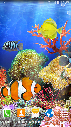 Full version of Android apk livewallpaper Coral fish for tablet and phone.