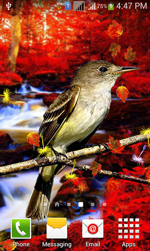 Full version of Android apk livewallpaper Cute birds for tablet and phone.