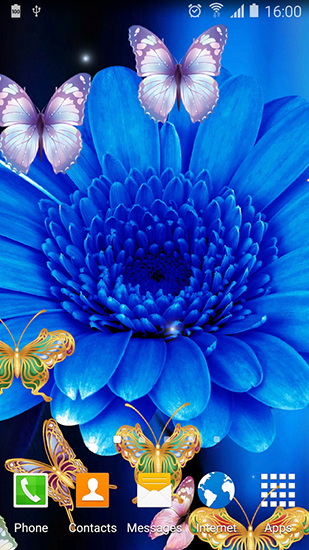 Full version of Android apk livewallpaper Cute butterfly for tablet and phone.