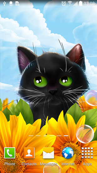 Full version of Android apk livewallpaper Cute kitten for tablet and phone.
