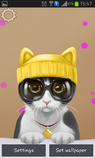 Full version of Android apk livewallpaper Cute kitty for tablet and phone.