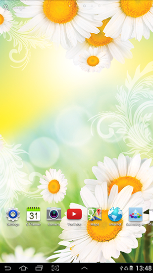 Full version of Android apk livewallpaper Daisies by Live wallpapers for tablet and phone.
