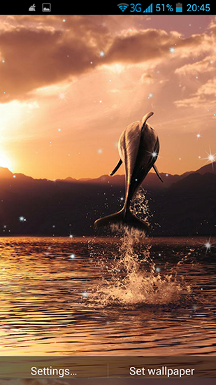 Full version of Android apk livewallpaper Dolphin 3D for tablet and phone.