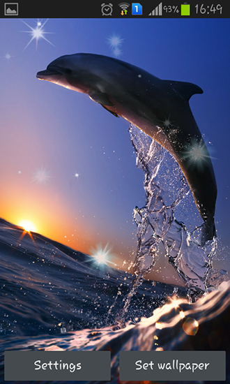 Full version of Android apk livewallpaper Dolphins for tablet and phone.