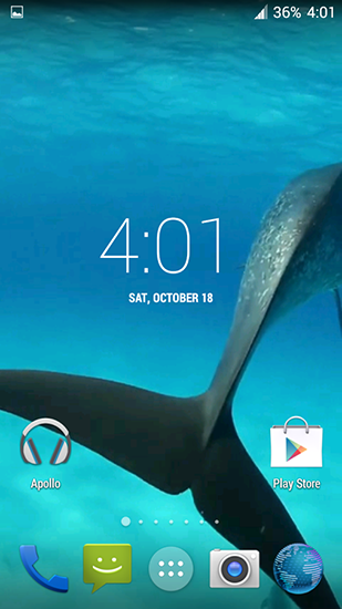 Full version of Android apk livewallpaper Dolphins HD for tablet and phone.