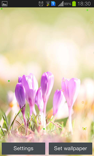 Full version of Android apk livewallpaper Early spring: Nature for tablet and phone.