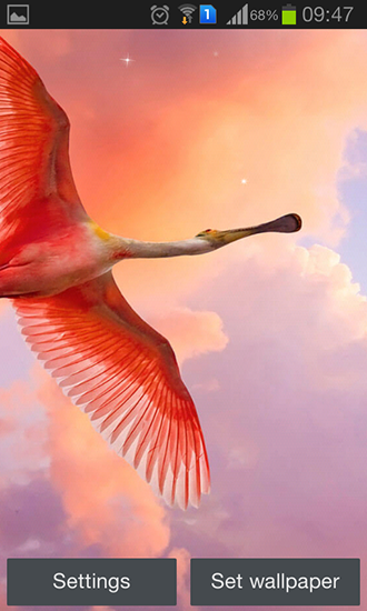 Full version of Android apk livewallpaper Flamingo for tablet and phone.