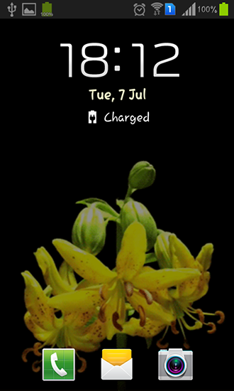 Full version of Android apk livewallpaper Flower bud for tablet and phone.