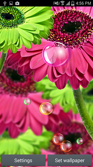 Full version of Android apk livewallpaper Flowers 2015 for tablet and phone.