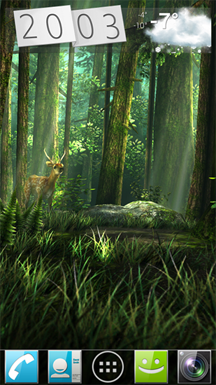Full version of Android apk livewallpaper Forest HD for tablet and phone.