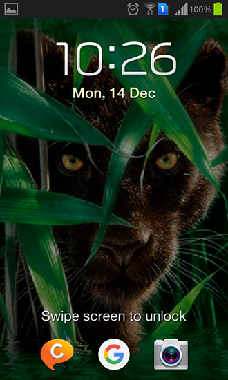 Full version of Android apk livewallpaper Forest panther for tablet and phone.