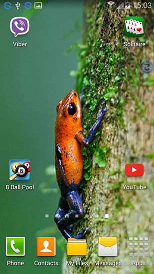 Full version of Android apk livewallpaper Frogs: shake and change for tablet and phone.