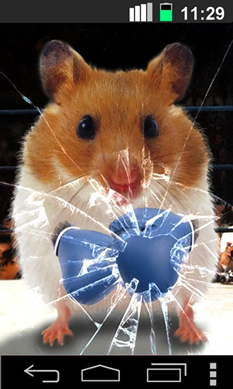 Full version of Android apk livewallpaper Funny hamster: Cracked screen for tablet and phone.