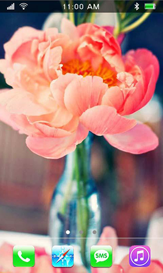 Full version of Android apk livewallpaper Garden peonies for tablet and phone.