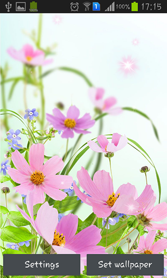 Full version of Android apk livewallpaper Gentle flowers for tablet and phone.
