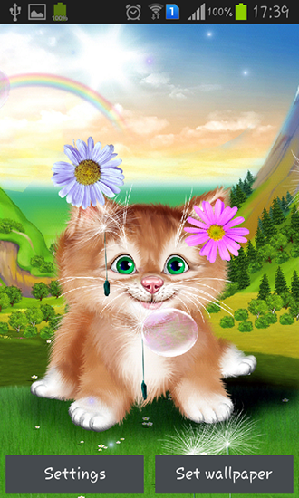 Full version of Android apk livewallpaper Kitten for tablet and phone.