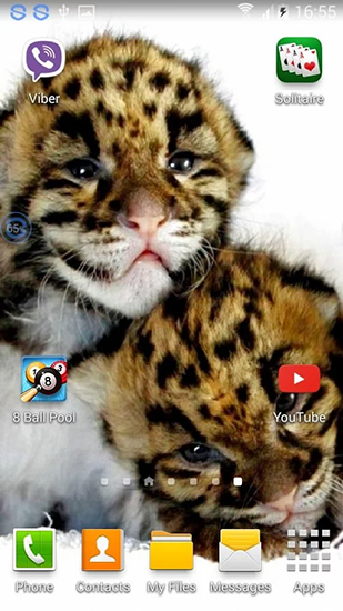 Full version of Android apk livewallpaper Leopards: shake and change for tablet and phone.