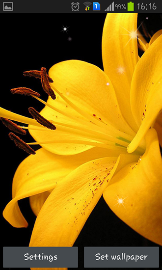 Full version of Android apk livewallpaper Lily for tablet and phone.